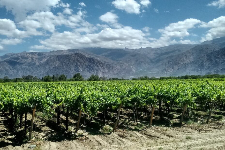 argentina