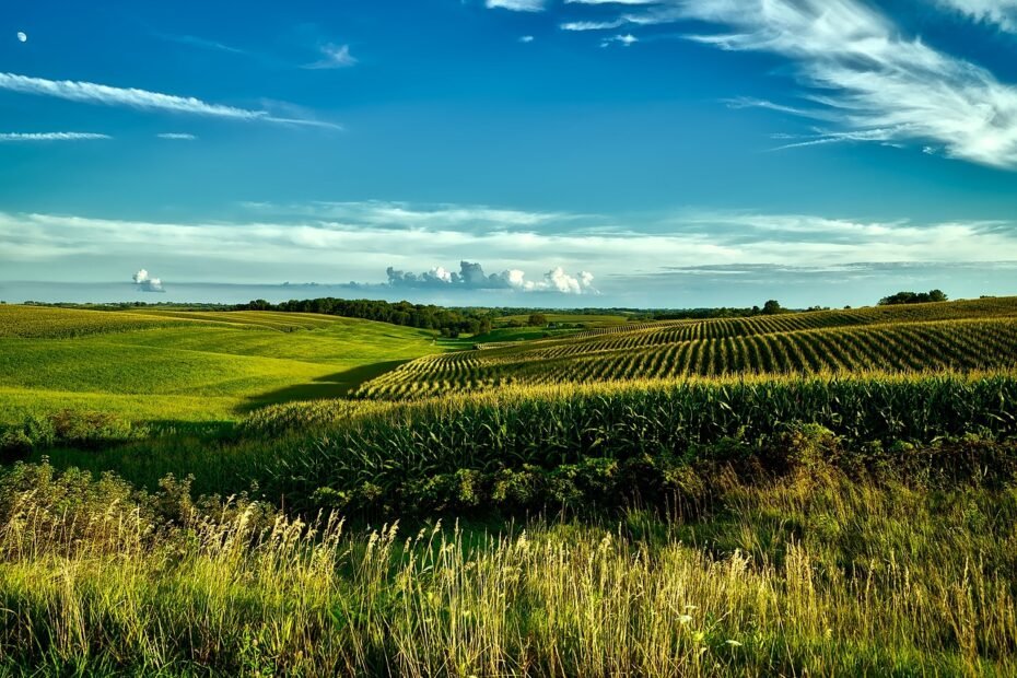 iowa
