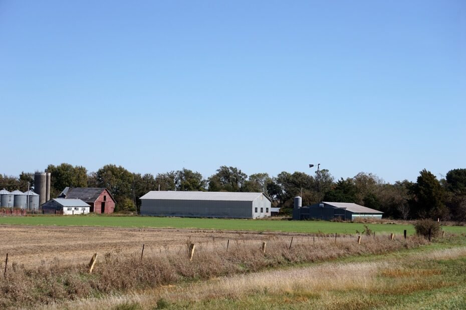 kansas