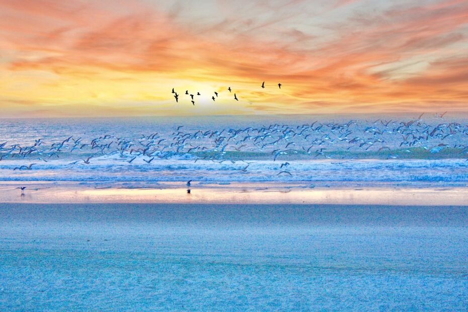south carolina