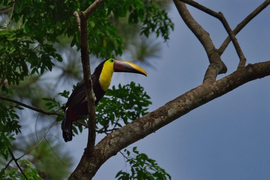 costa rica adventure