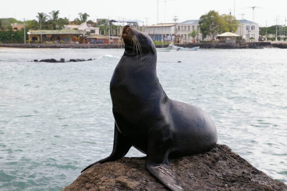 galápagos adventure